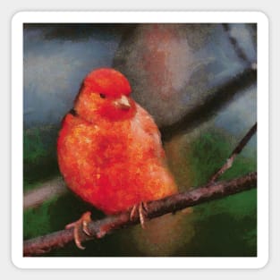 The Red Canary Bird Magnet